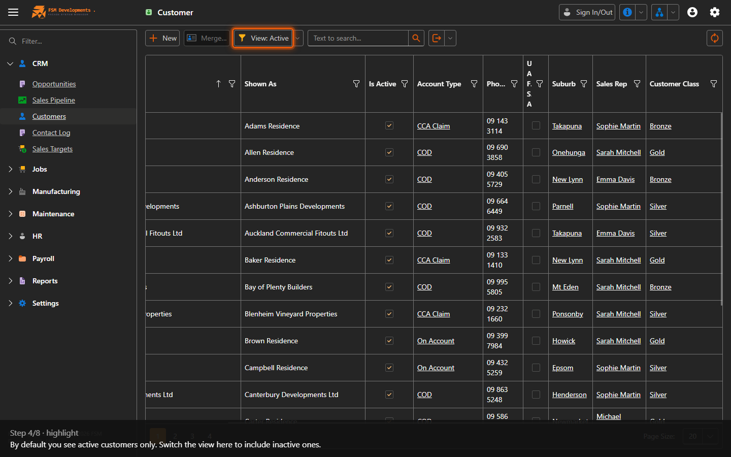 View: Active (toolbar button)